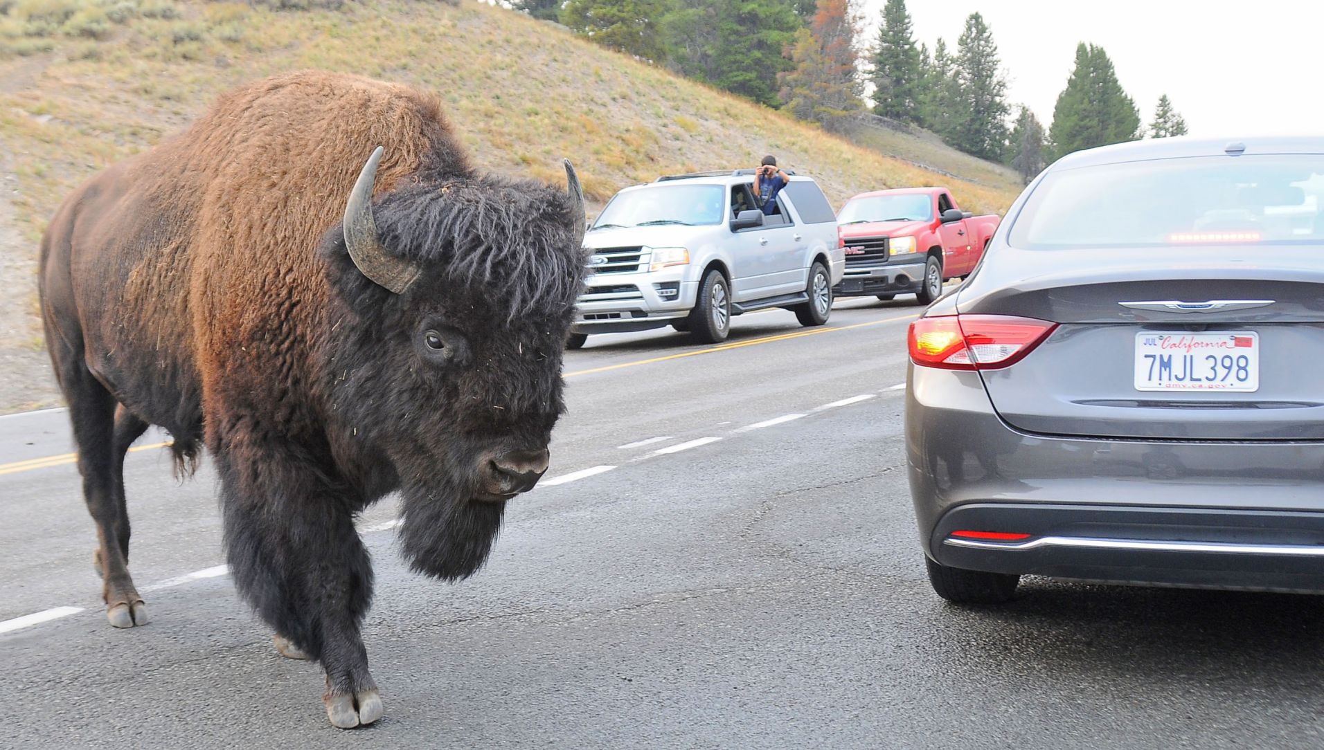 Yellowstone